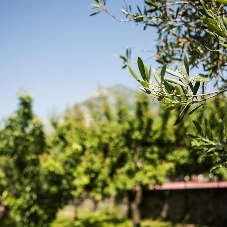 Casa Vacanza Dal Cavaliere Montesarchio Zewnętrze zdjęcie