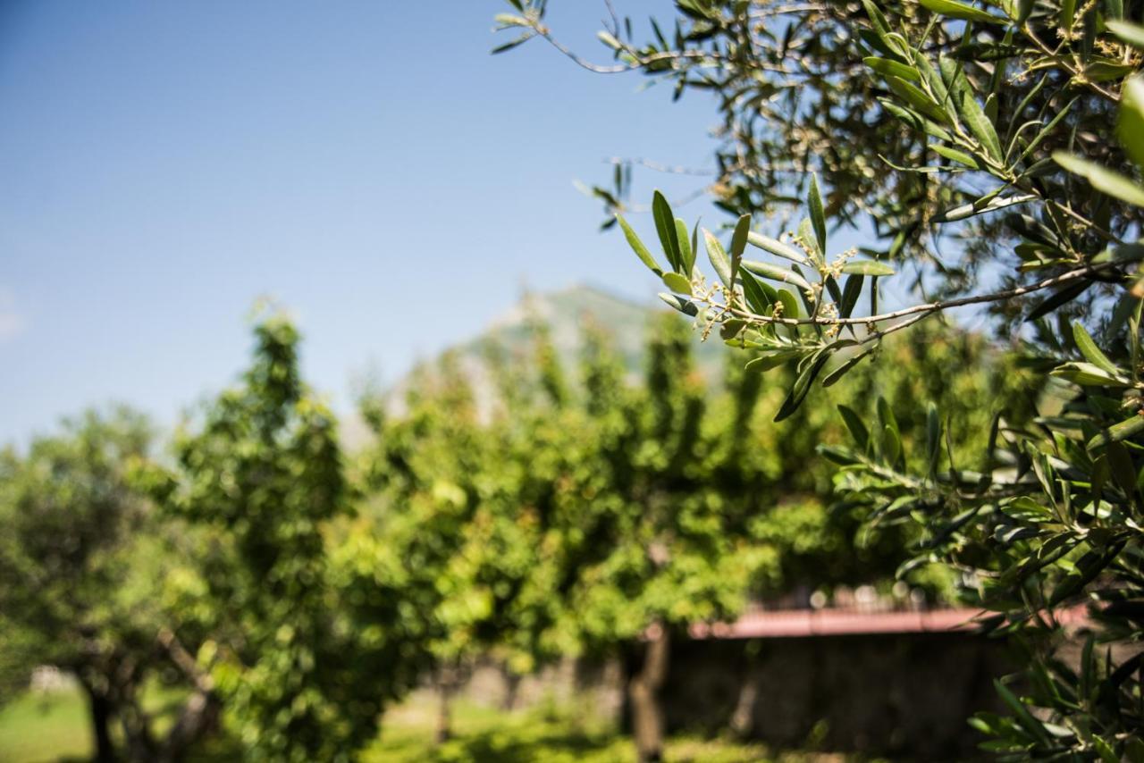 Casa Vacanza Dal Cavaliere Montesarchio Zewnętrze zdjęcie