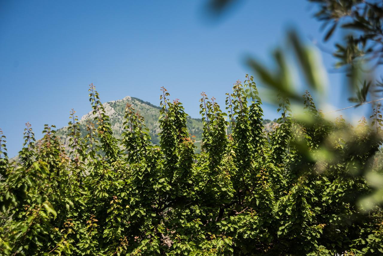 Casa Vacanza Dal Cavaliere Montesarchio Zewnętrze zdjęcie